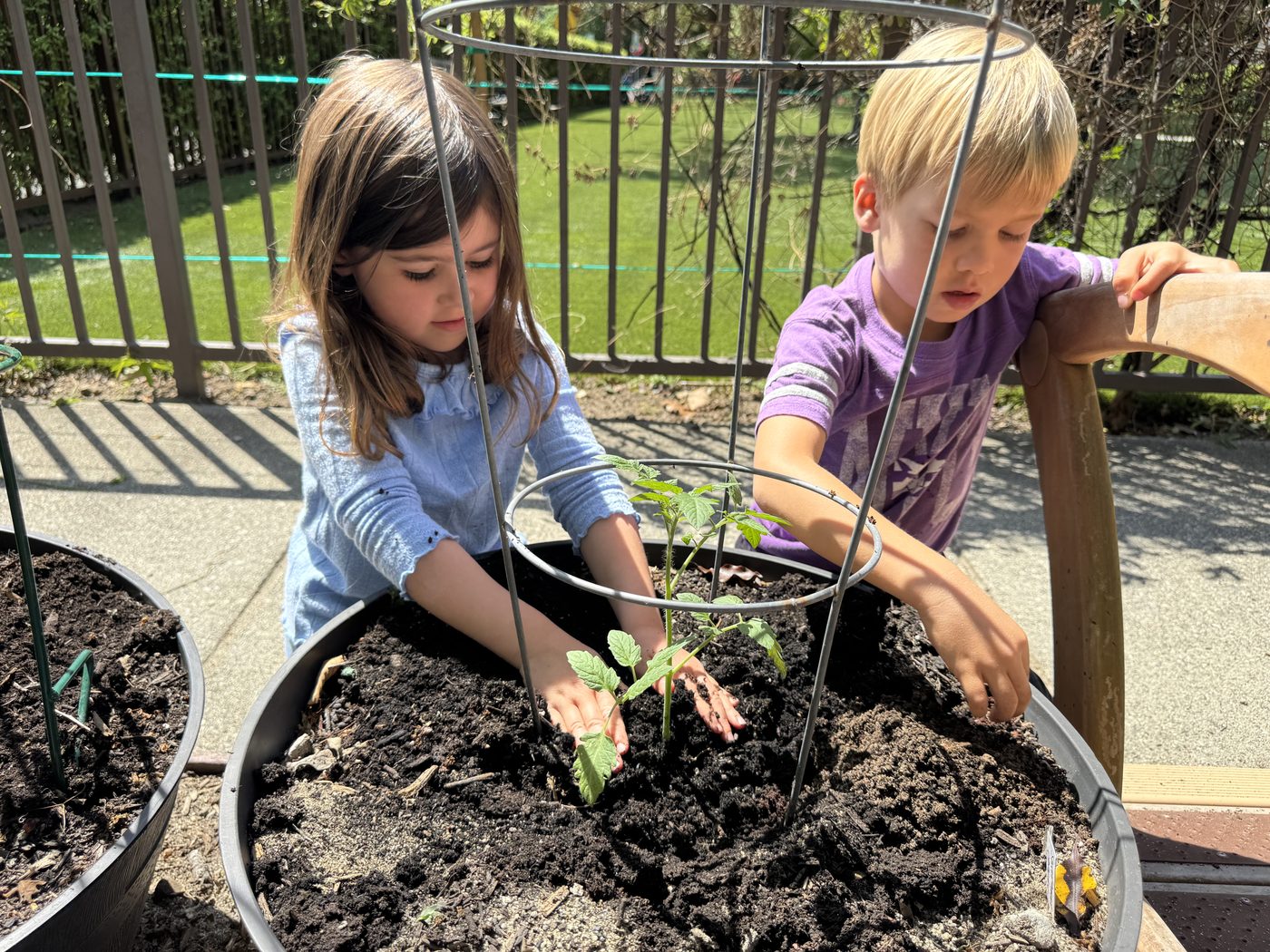 Two children planting seedlings in the garden